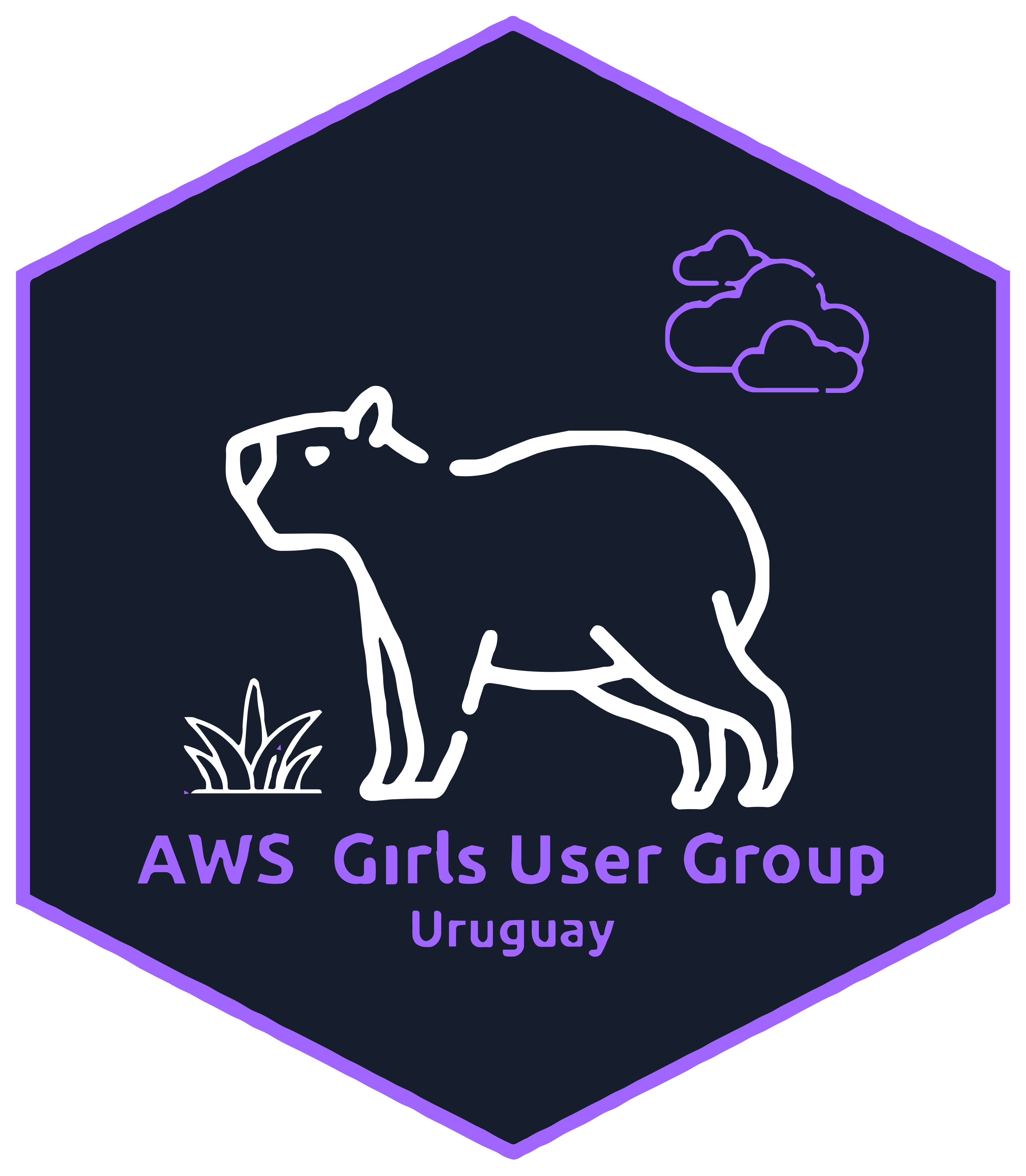 Logo de AWS Uruguay